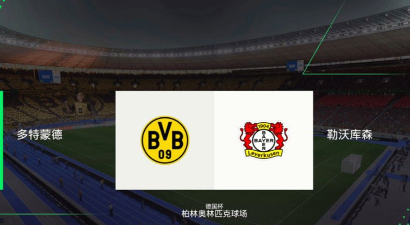 关于凯恩与90激战老鹰分钟丹佛掘金国际比赛日再遭质疑，国际比赛日浙江队备战德国杯看傻球迷的信息